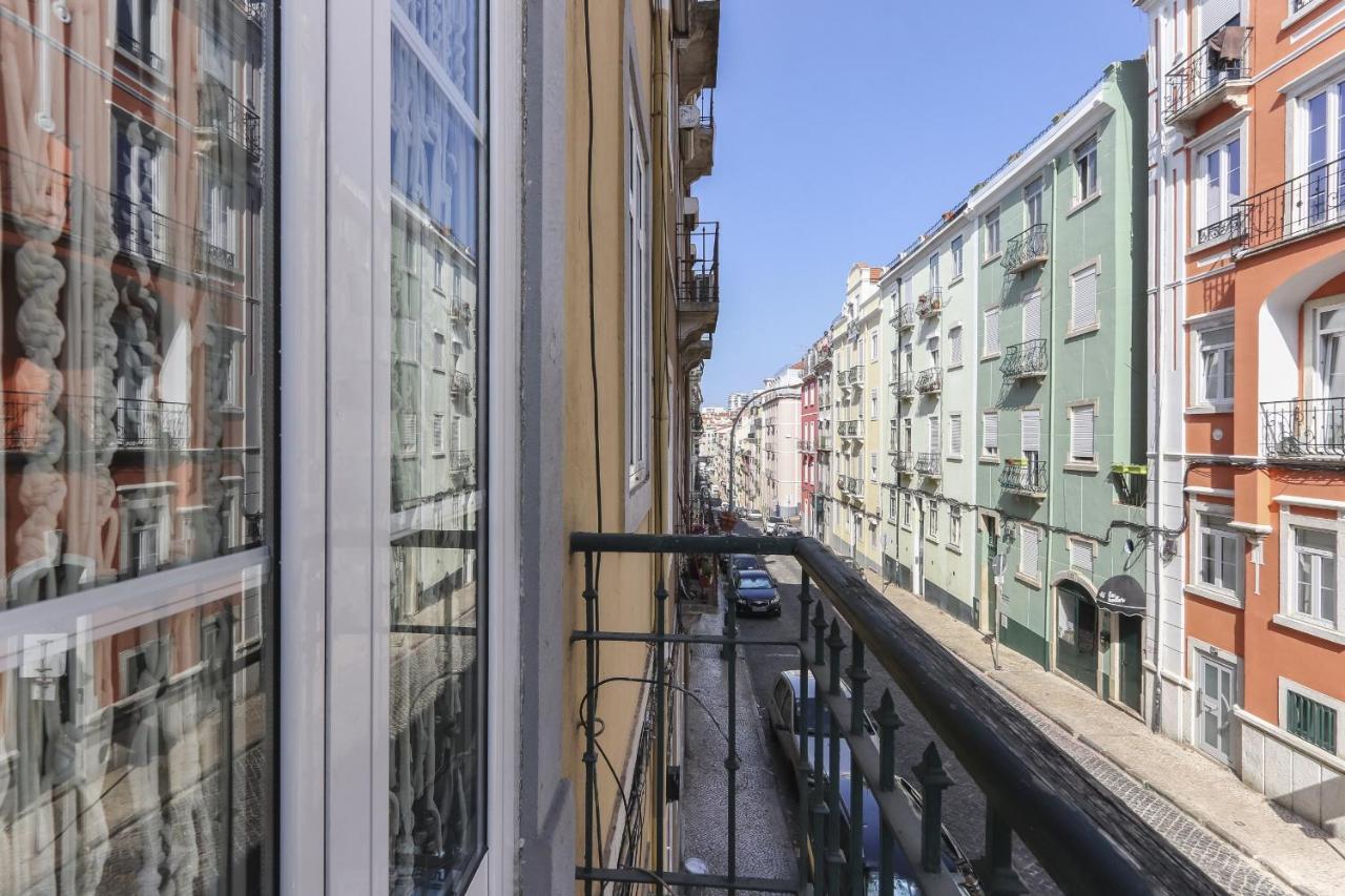 Red Almirante By Homing * Lissabon